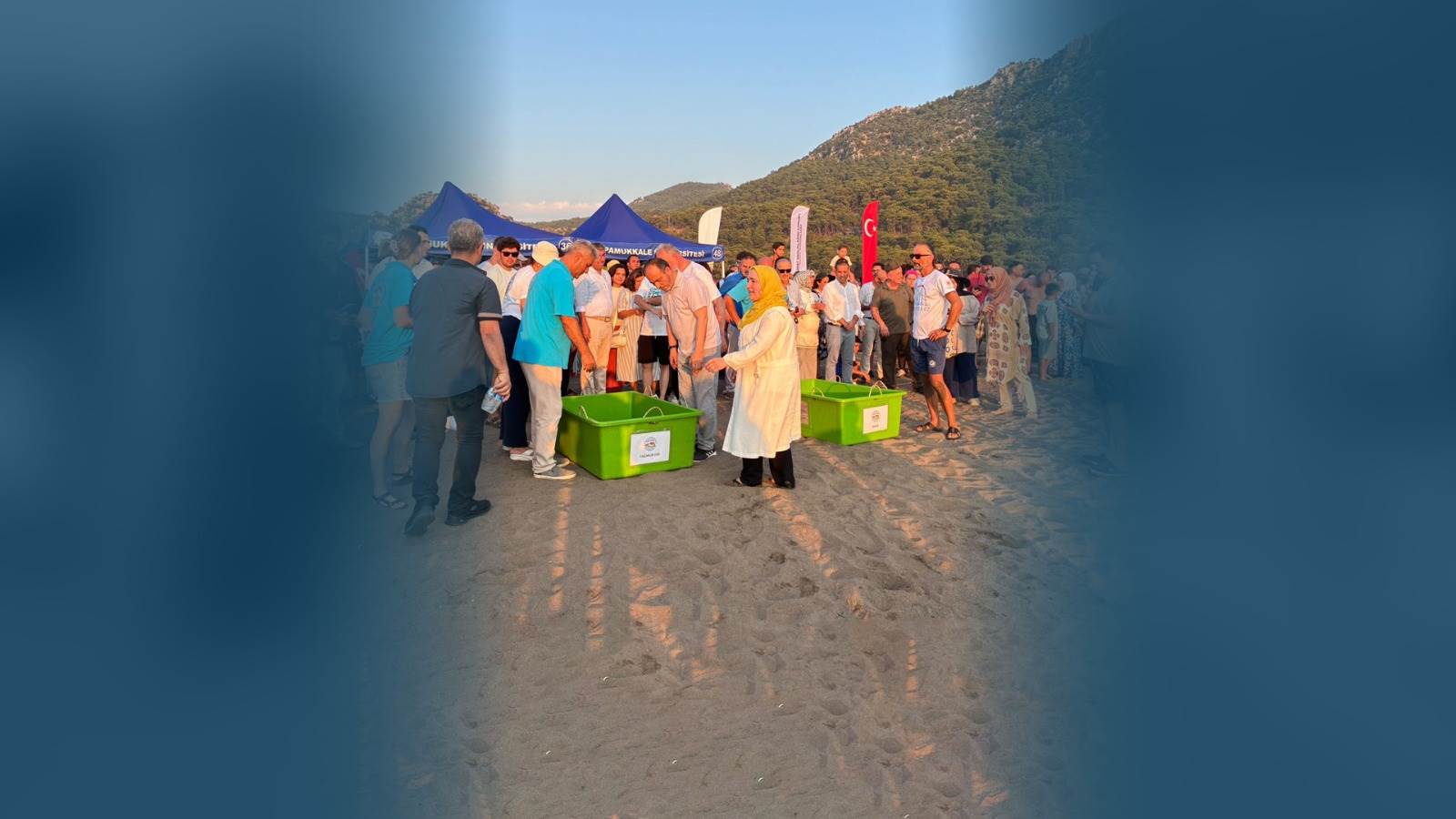 rektör güngür, dekamer, yerli uydu